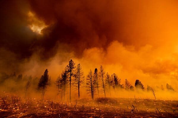 climate collapse new zealand 