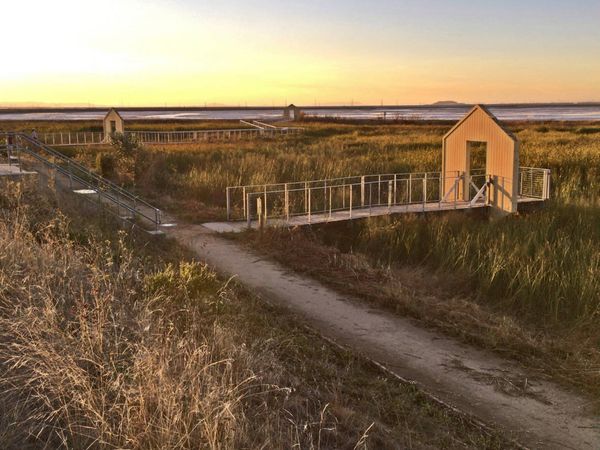 The Bay Area’s sinking neighborhood gets a boost