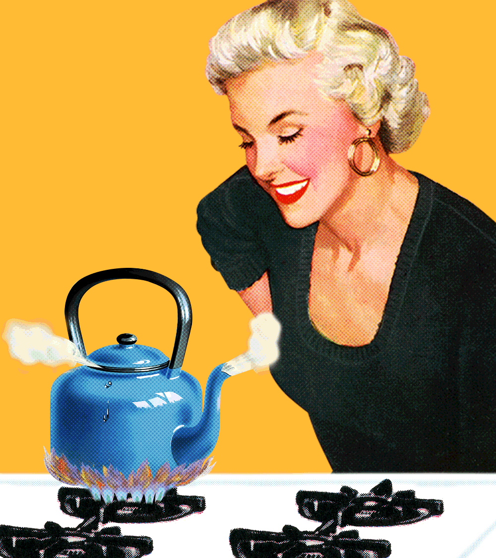 How the fossil fuel industry convinced Americans to love gas stoves