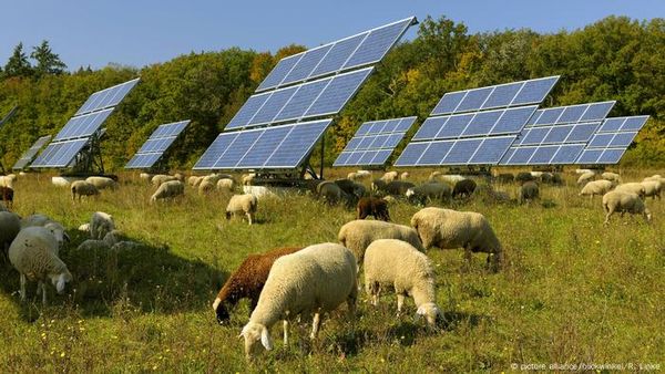 How to make the world affordably carbon-free