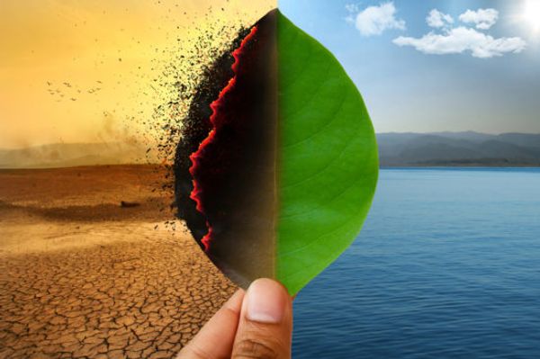 WHO says climate change could have ‘considerable’ food safety impact
