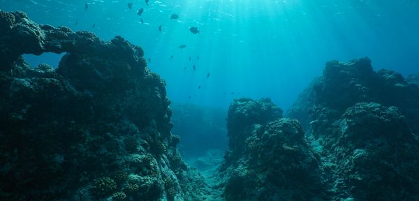 Nauru pushing deep-sea mining