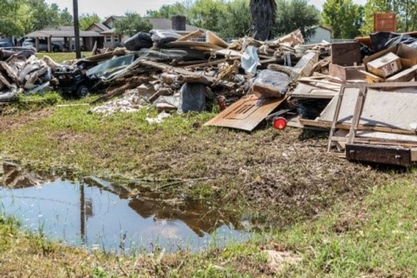 houston harvard climate research
