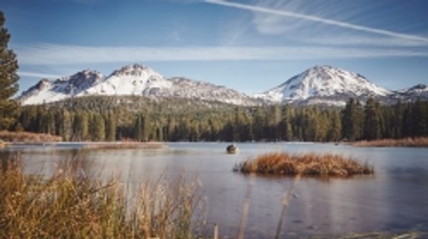 UC Davis researchers model climate change impact and search for resilient options on campus