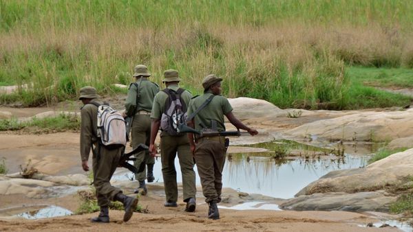 Conservation communication: Time to rethink the word ‘poacher’?