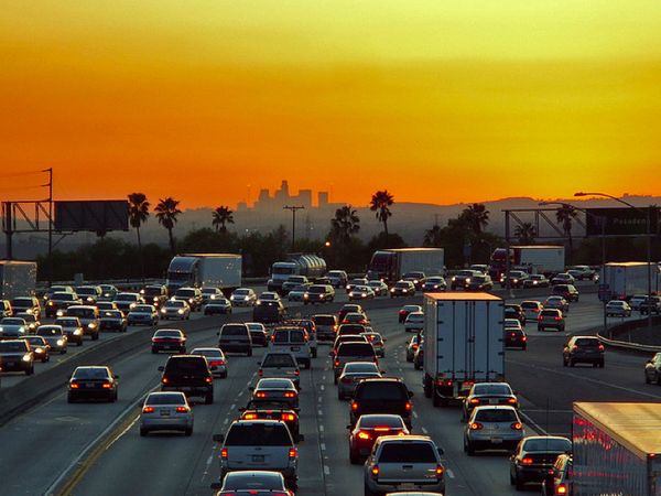William E. Rees: The earth is telling us we must rethink our growth society