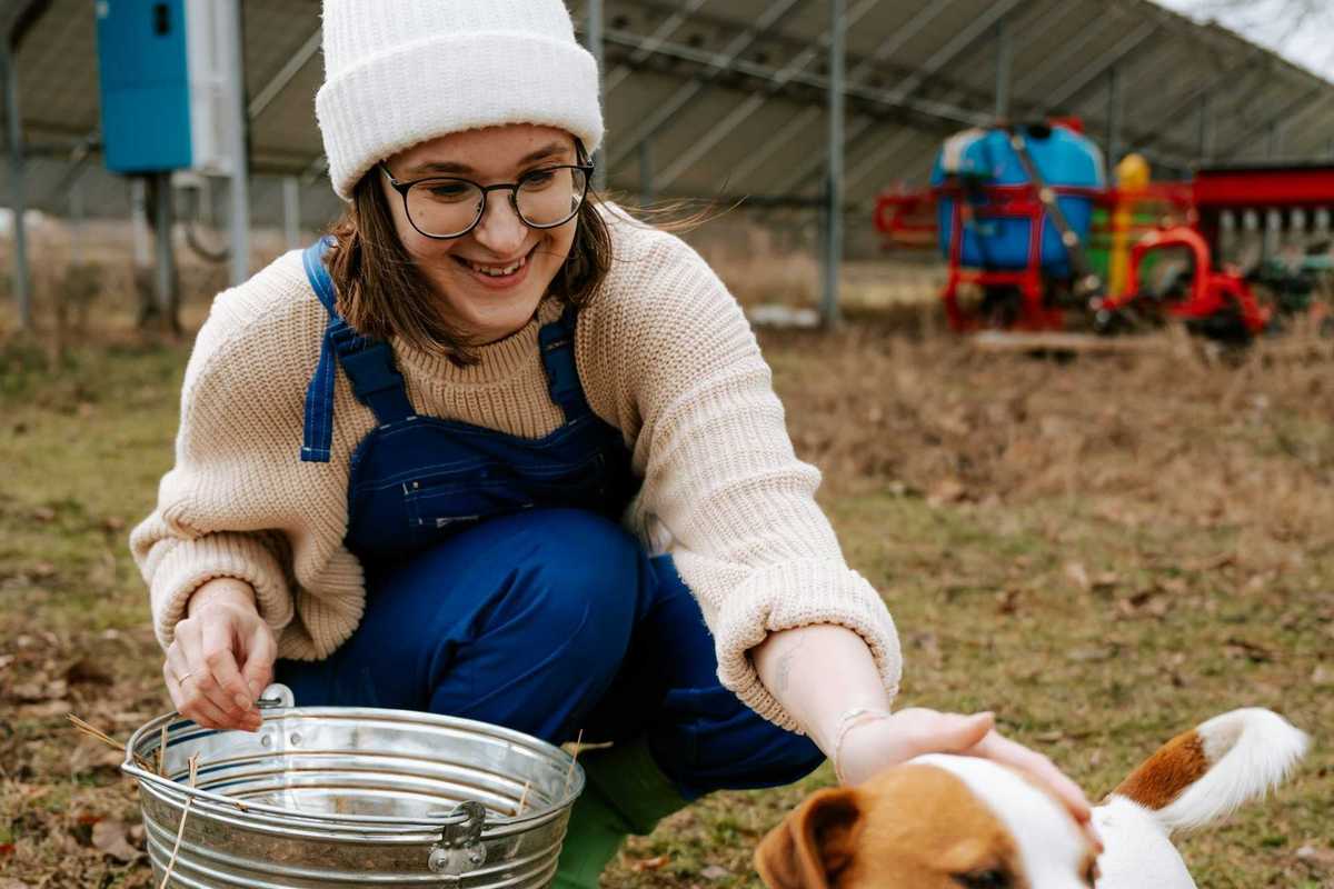 Farmer with stainless steel bucket squatting behind solar panels and petting a brown and white dog
