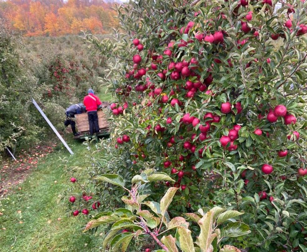 Farmworkers Michigan