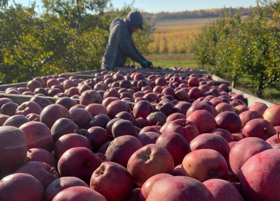 Farmworkers rights health 