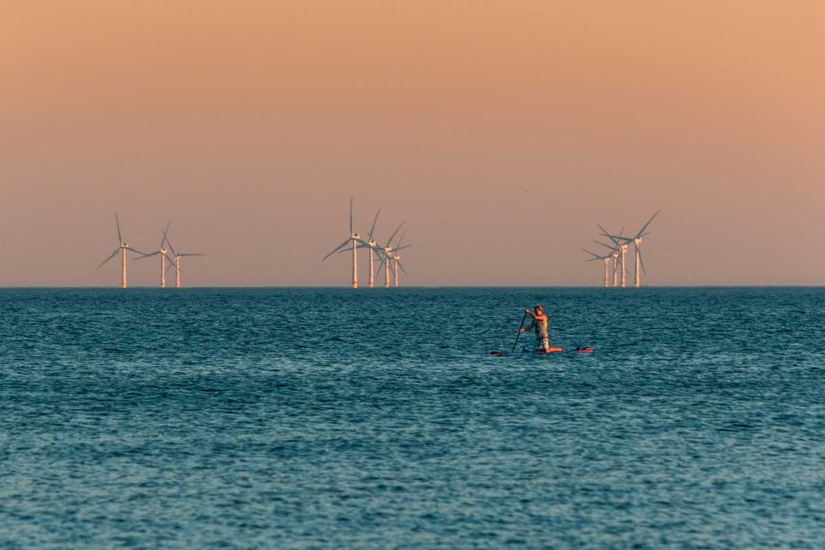 Figure kneeling on paddleboard with a dozen wind turbines in background