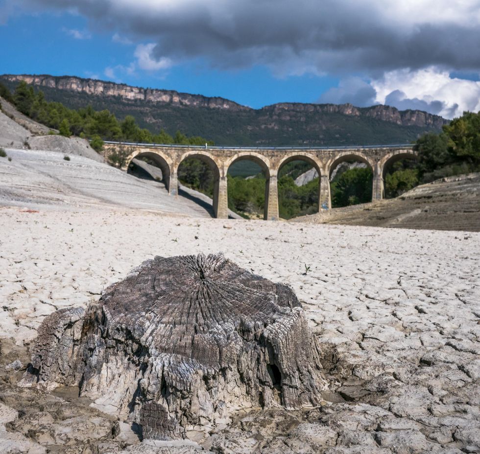 Extreme drought is gripping Europe, intensifying heat and fueling fire