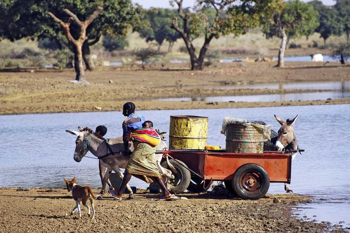 Filling and transportation of water bottles at lake for women to irrigate crops