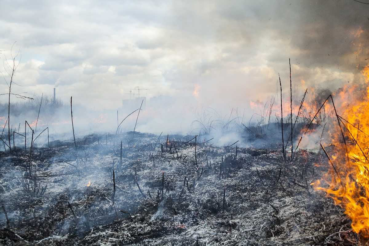 Fire burning in a field outside of a nearby city