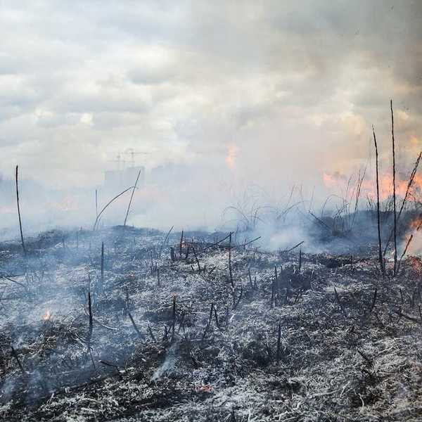 Fire burning in a field outside of a nearby city