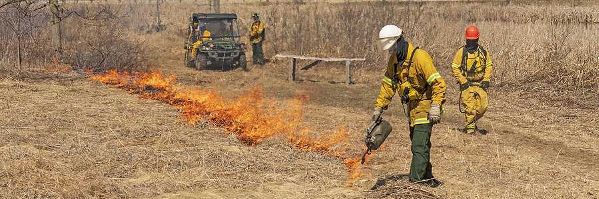 Fire fighters setting a prescribed burn in a field