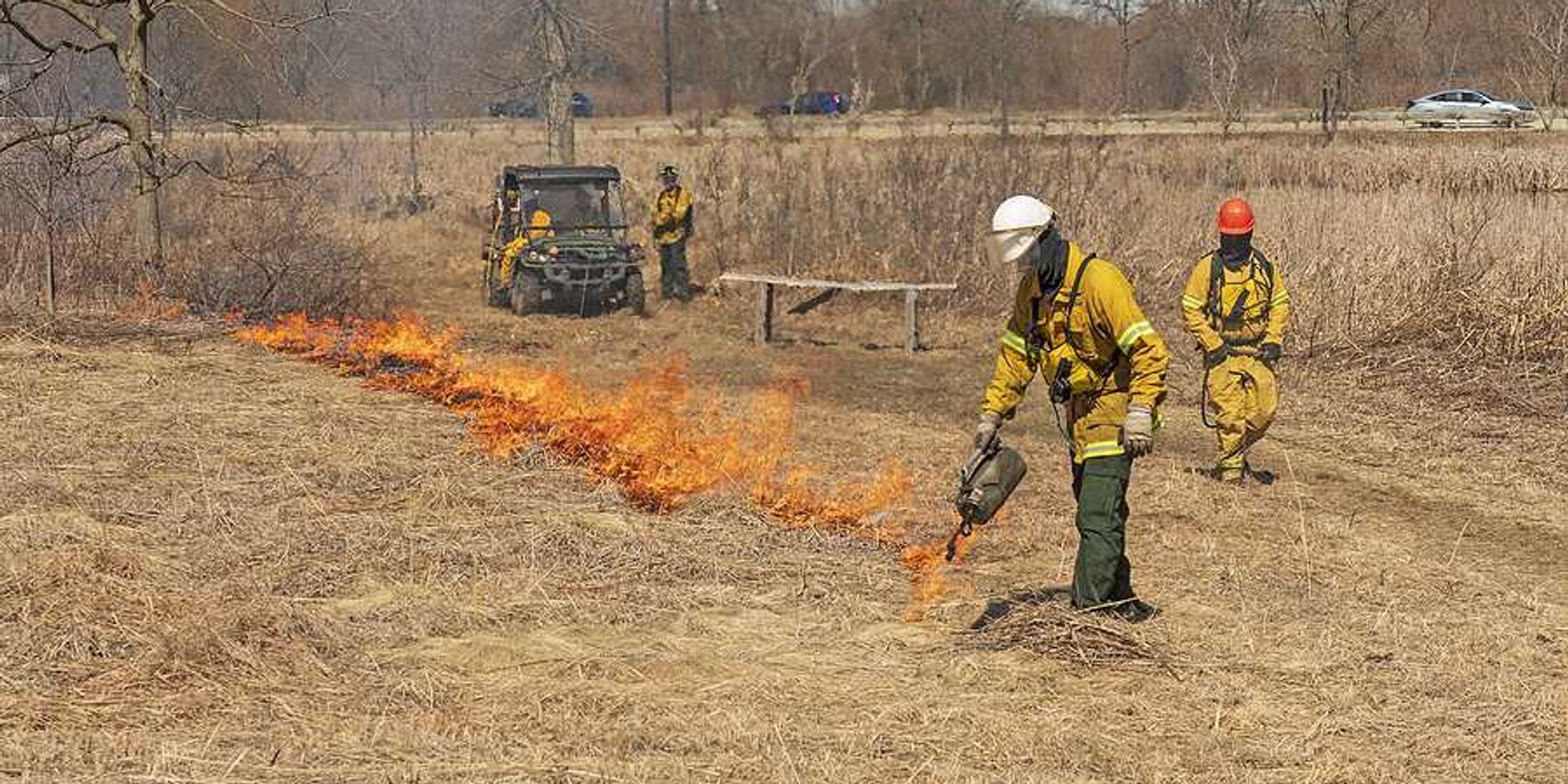 Fire fighters setting a prescribed burn in a field