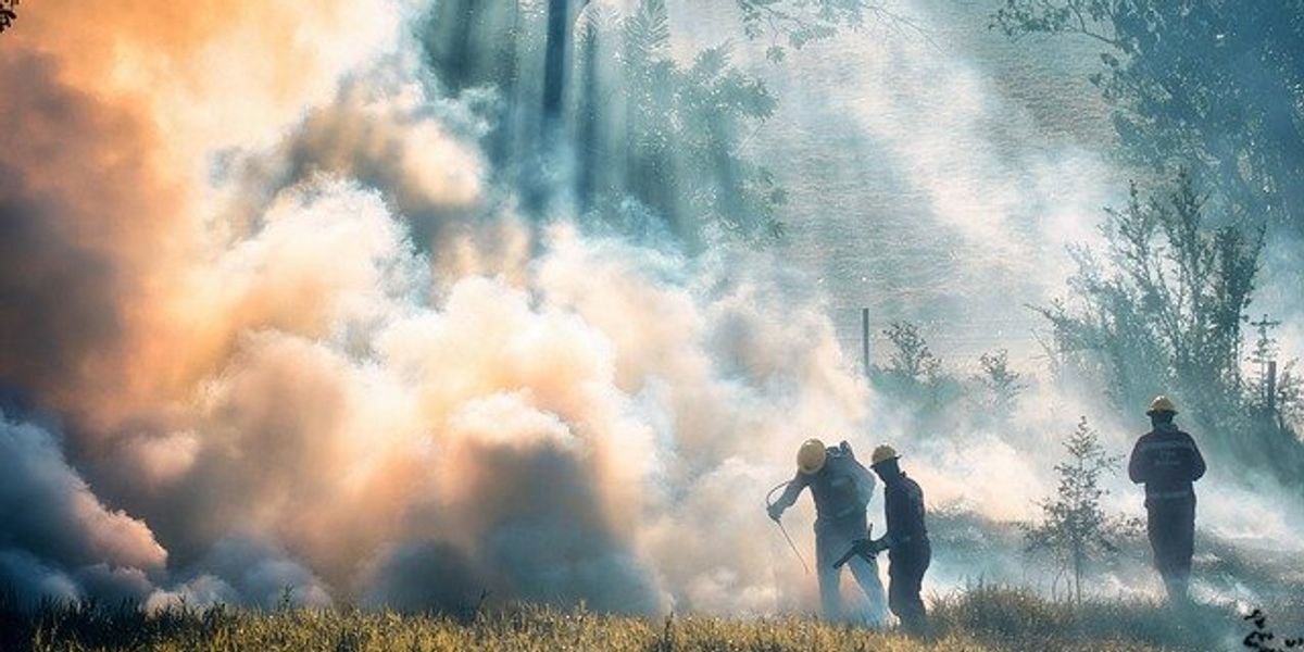 Firefighters in a forest with billowing smoke from a fire.