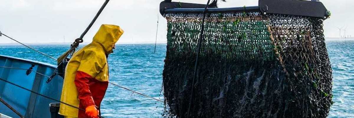 Fisherman in yellow and red rain gear, standing on deck of trawler, landing bottom trawling cage .