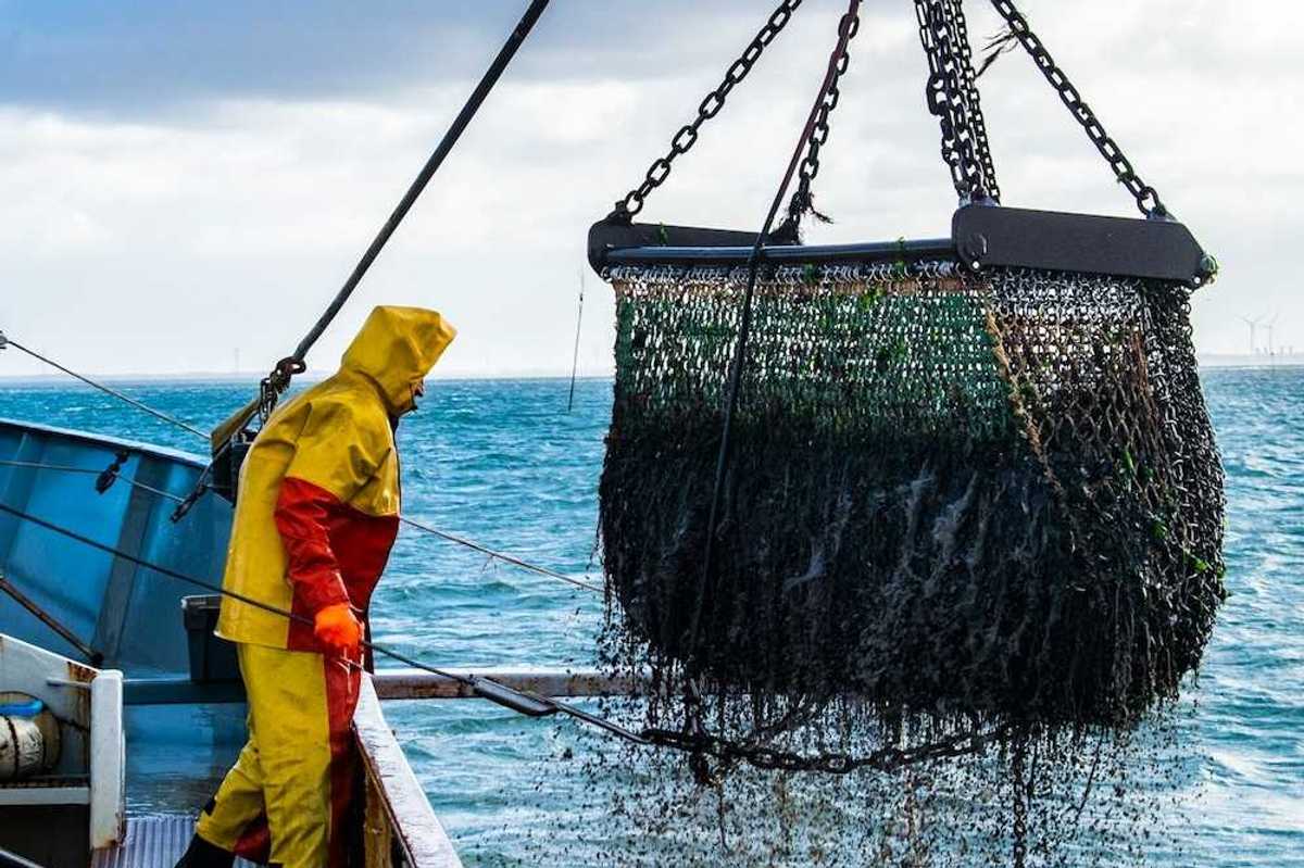 Fisherman in yellow and red rain gear, standing on deck of trawler, landing bottom trawling cage .