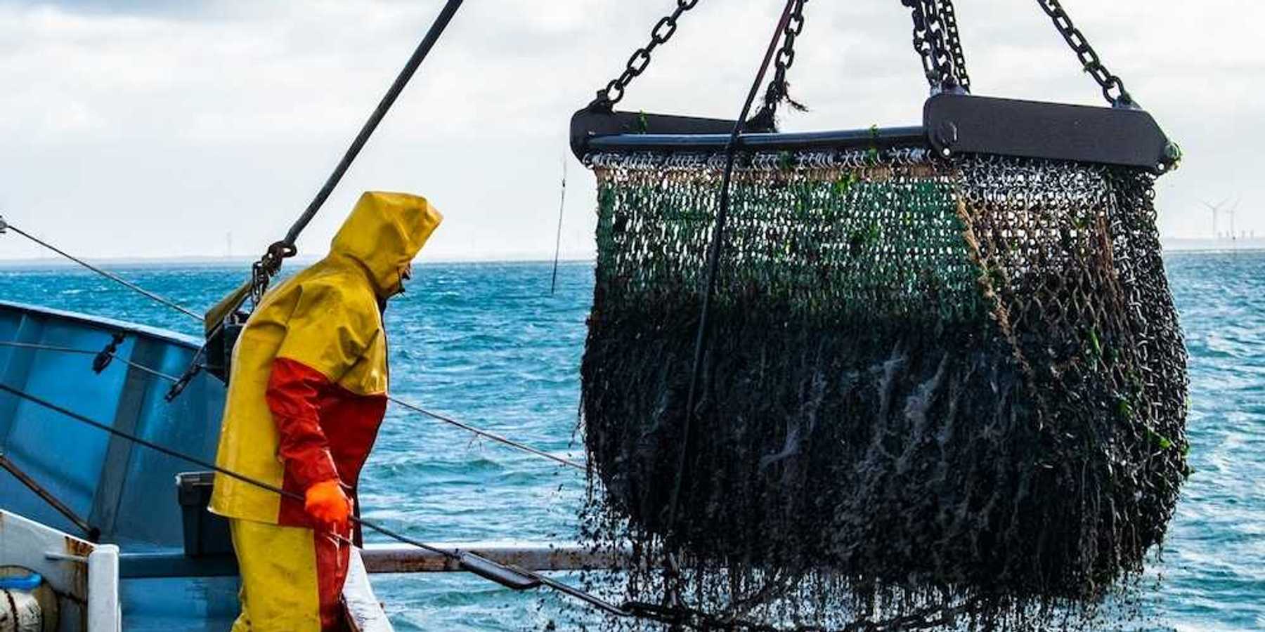 Fisherman in yellow and red rain gear, standing on deck of trawler, landing bottom trawling cage .