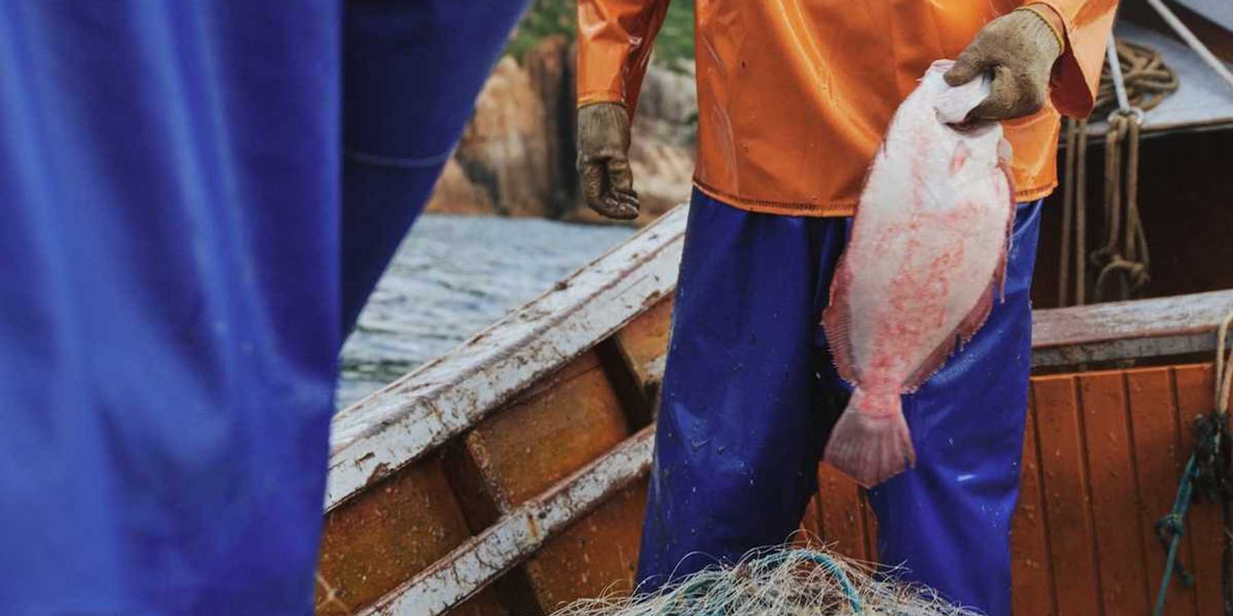 Fishermen in slickers harvesting their catch