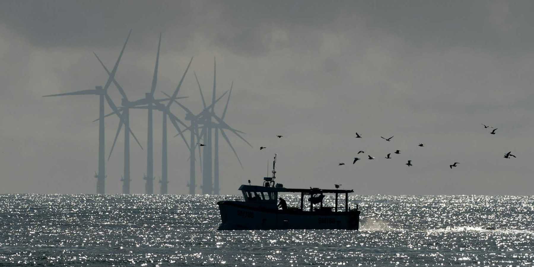 Fishing boat with offshore wind turbines in background