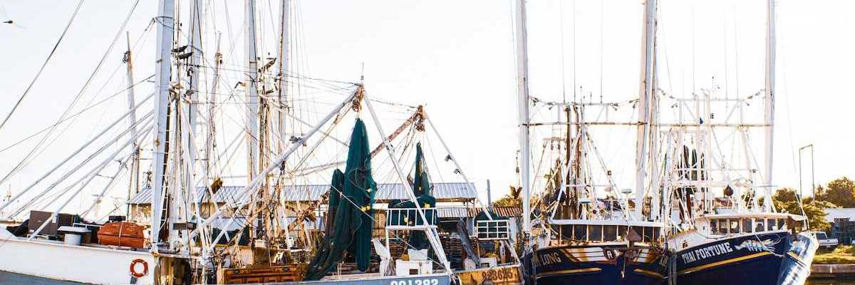 Fishing boats docked at a pier on the Gulf coast.