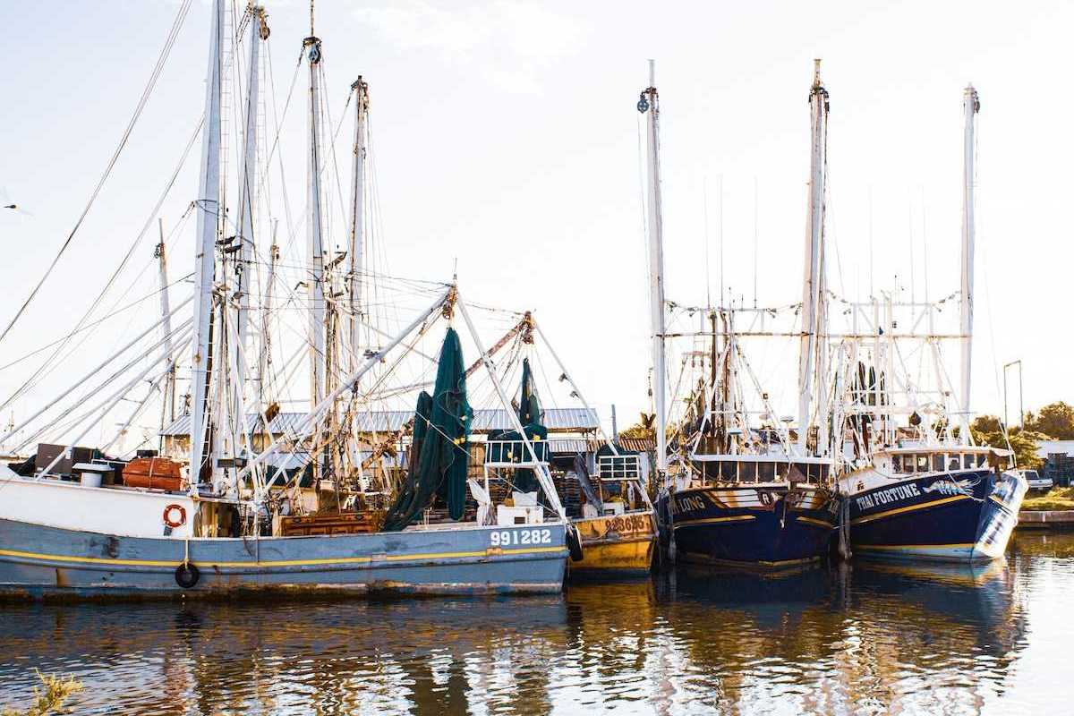 Fishing boats docked at a pier on the Gulf coast.