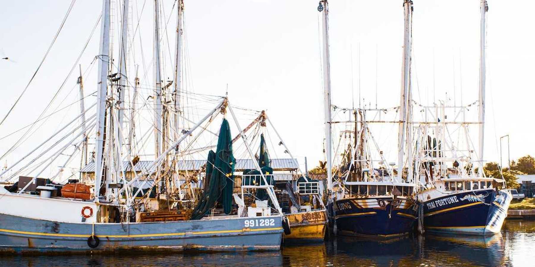 Fishing boats docked at a pier on the Gulf coast.