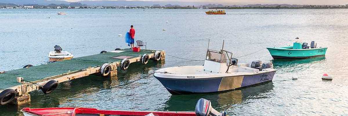 Fishing boats in the water at a dock in a tropical location