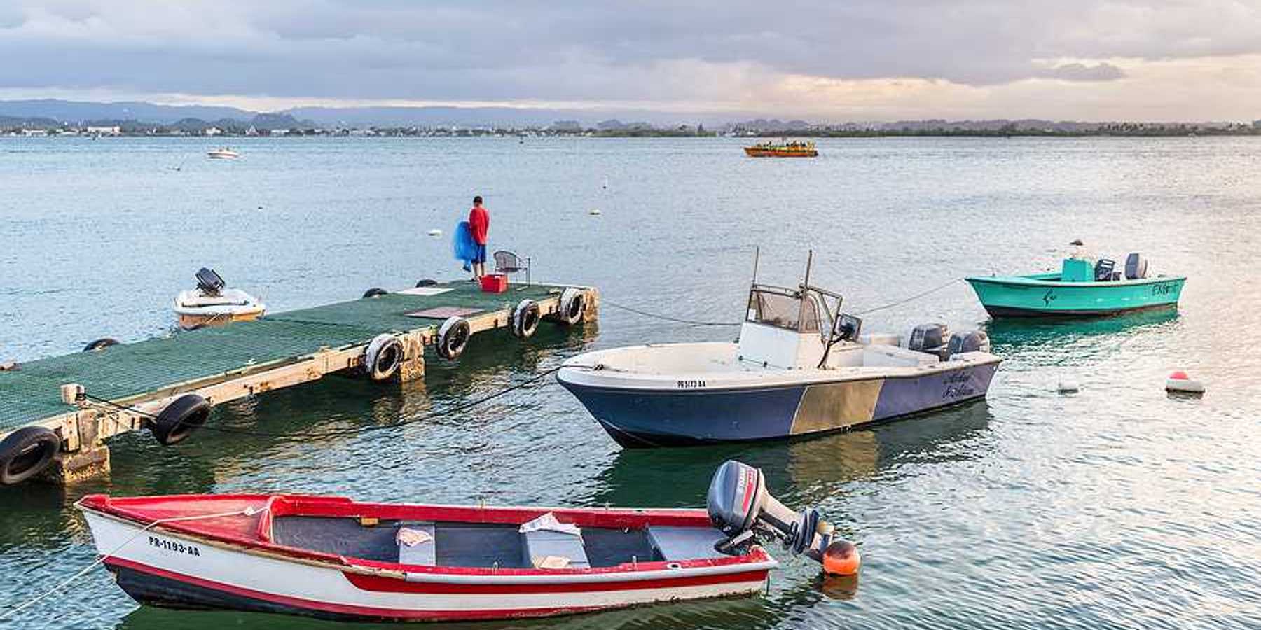 Fishing boats in the water at a dock in a tropical location