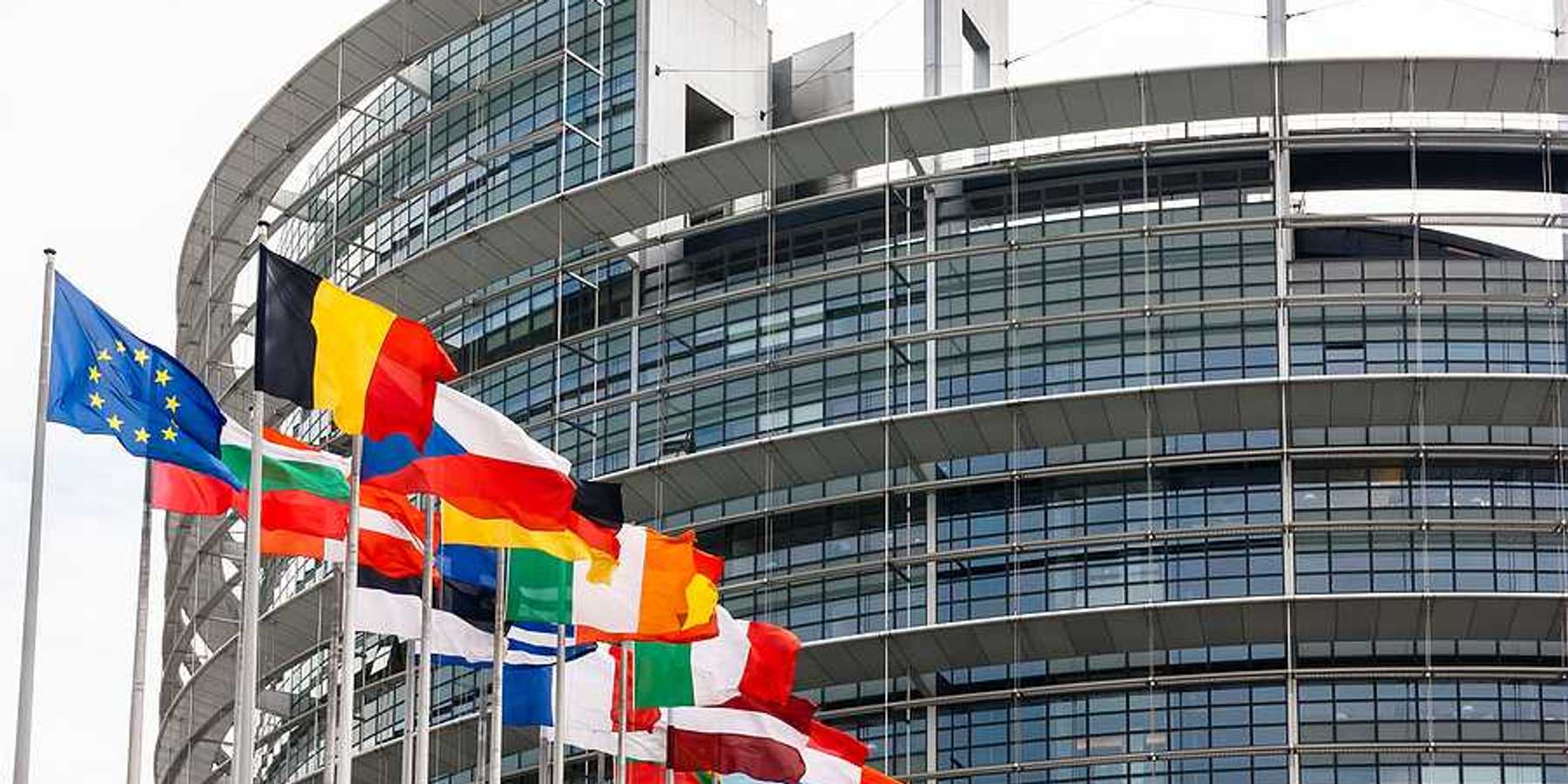 Flags of the EU flying outside a glass and steel building