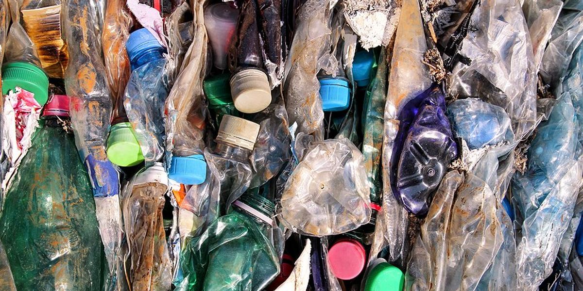 Flattened plastic bottles ready for recycling.