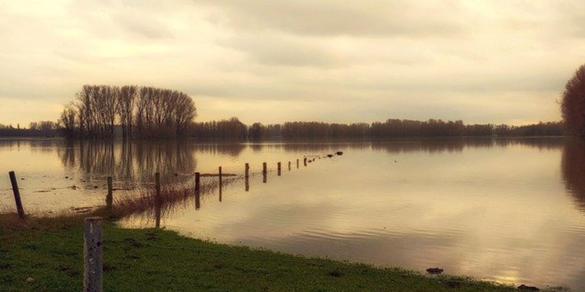 Flooded river with bare trees in distance against a cloudy sky.