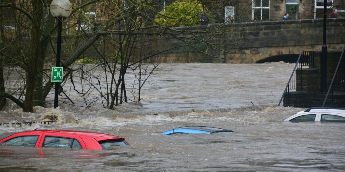 flooded street with three car rooftops peaking above water