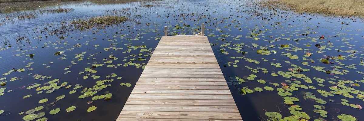 Florida Everglades - wooden dock stretching into the wetlands