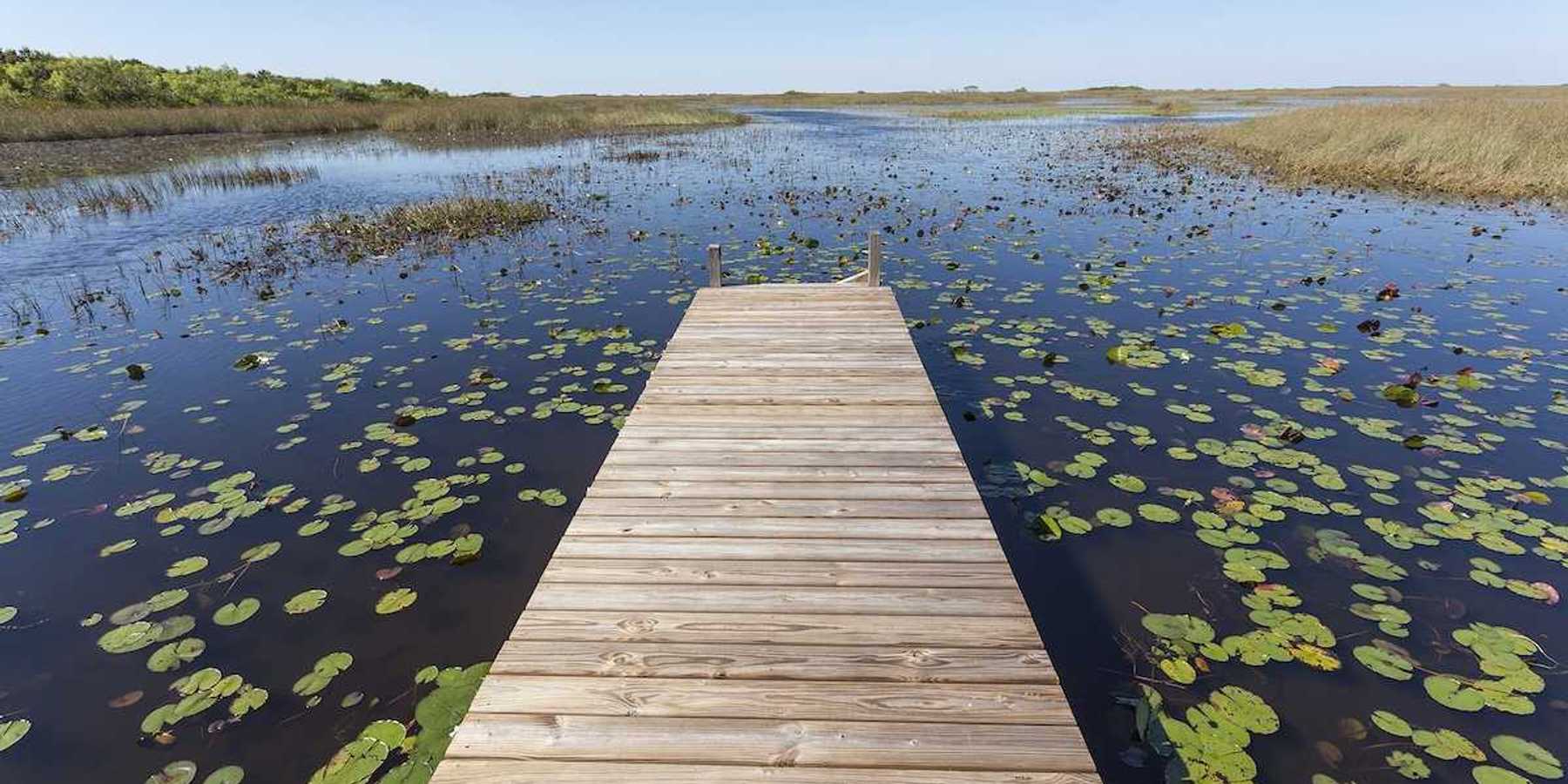 Florida Everglades - wooden dock stretching into the wetlands