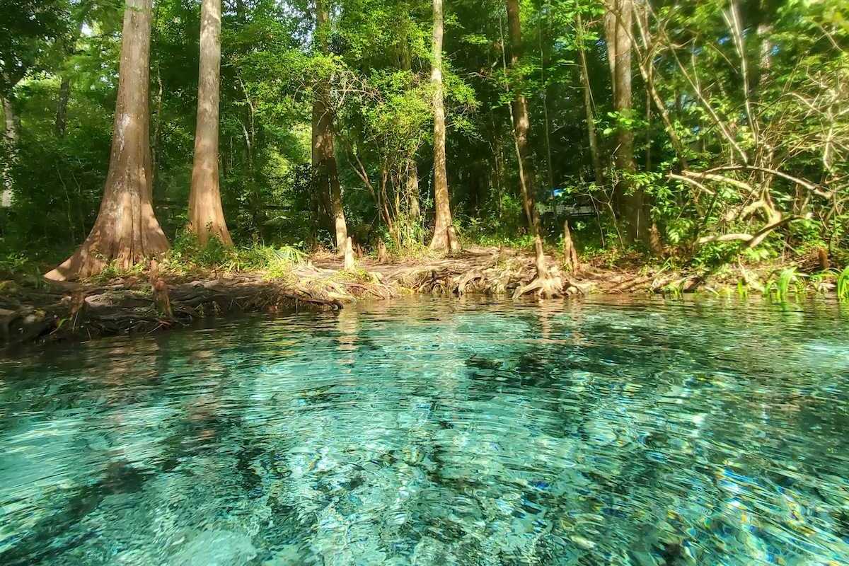 Florida spring with clear blue-green water