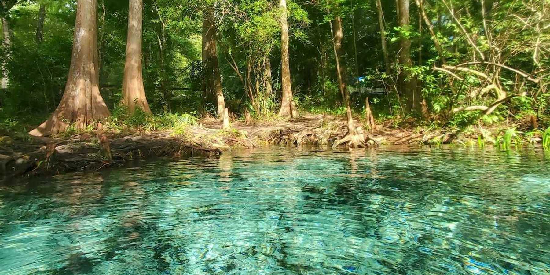 Florida spring with clear blue-green water