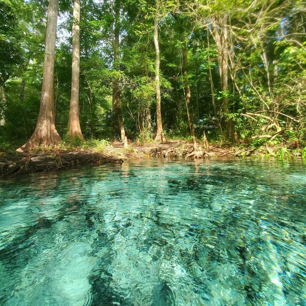 The business of saving nature