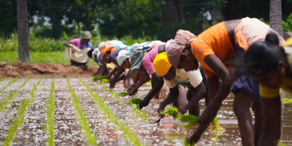 Food security climate change