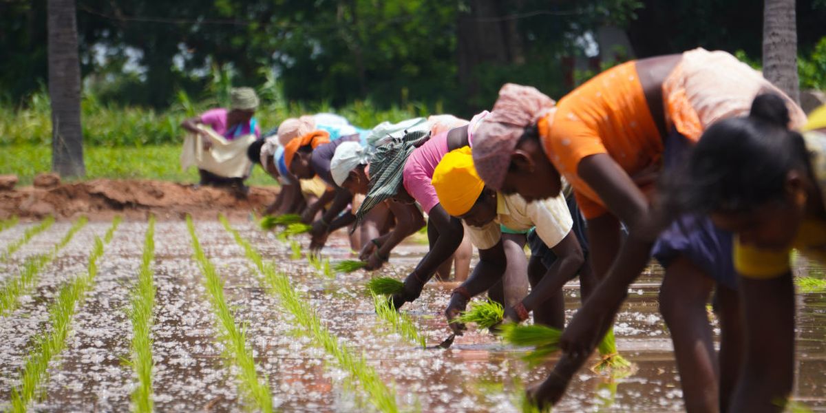 Food security climate change 