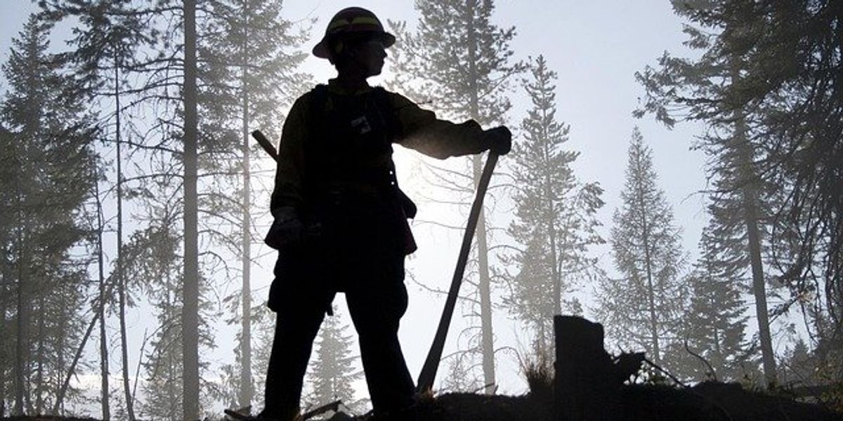 Forest fire fighter standing in silhouette in front of a stand of trees.