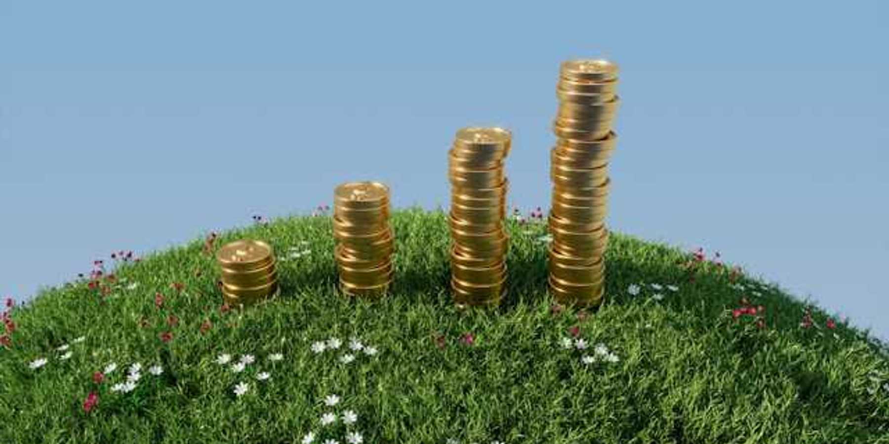 Four stacks of gold coins getting progressively higher on a green hill with flowers