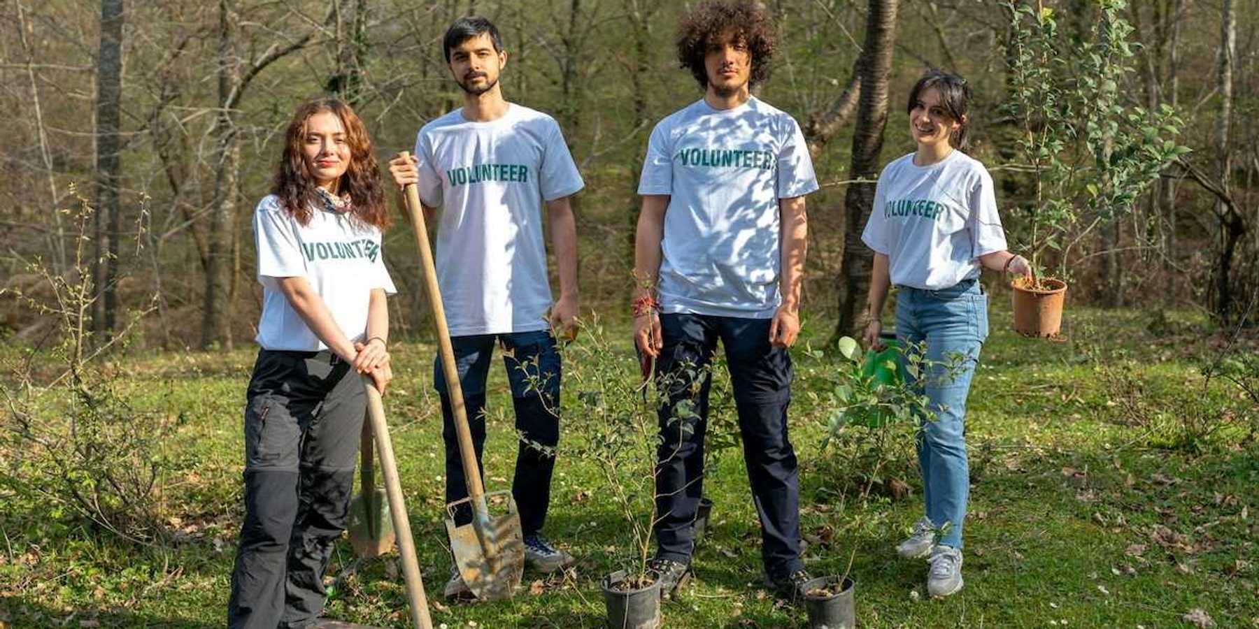Four young people wearing t-shirts that read "volunteers" equipped to plant trees.