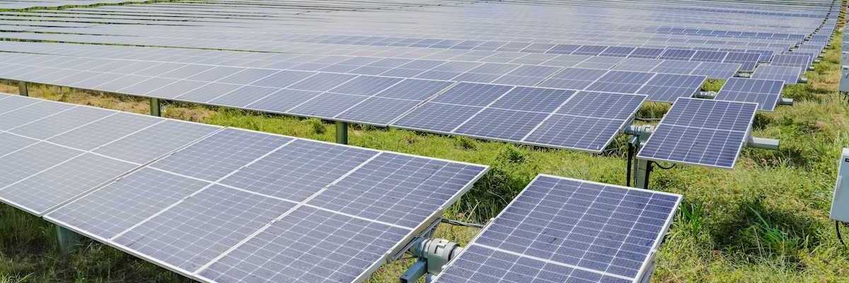 Free-standing solar panels arrayed in an open space
