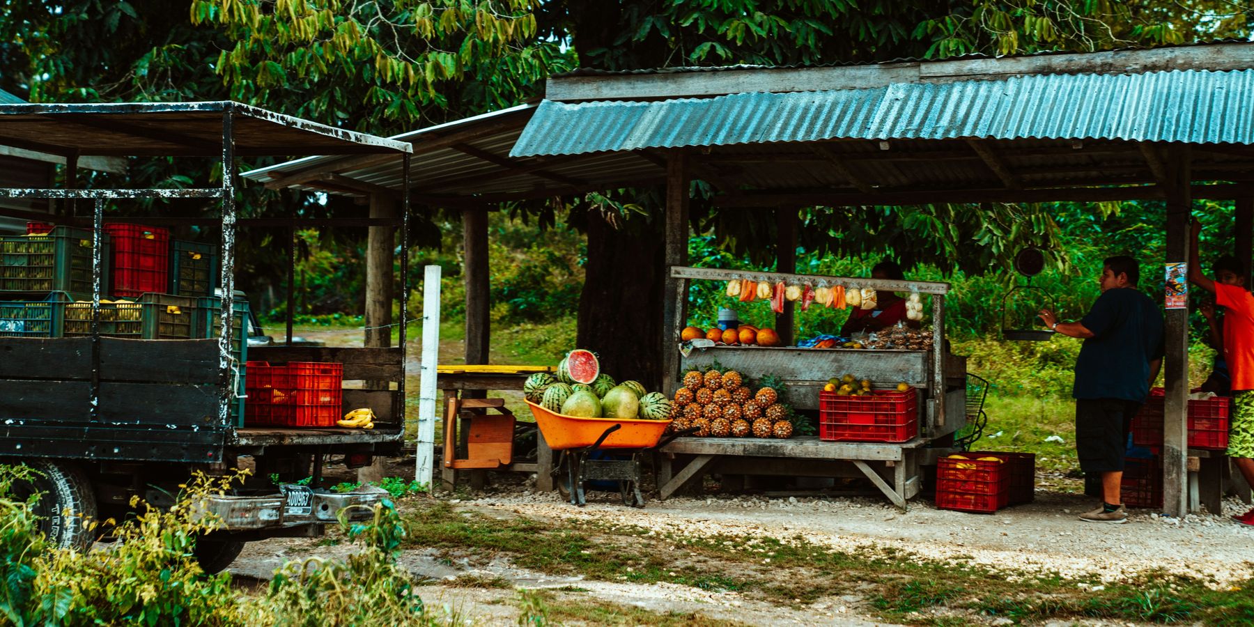 Fruits being sold at a roadside stand in a lush tropical environment.