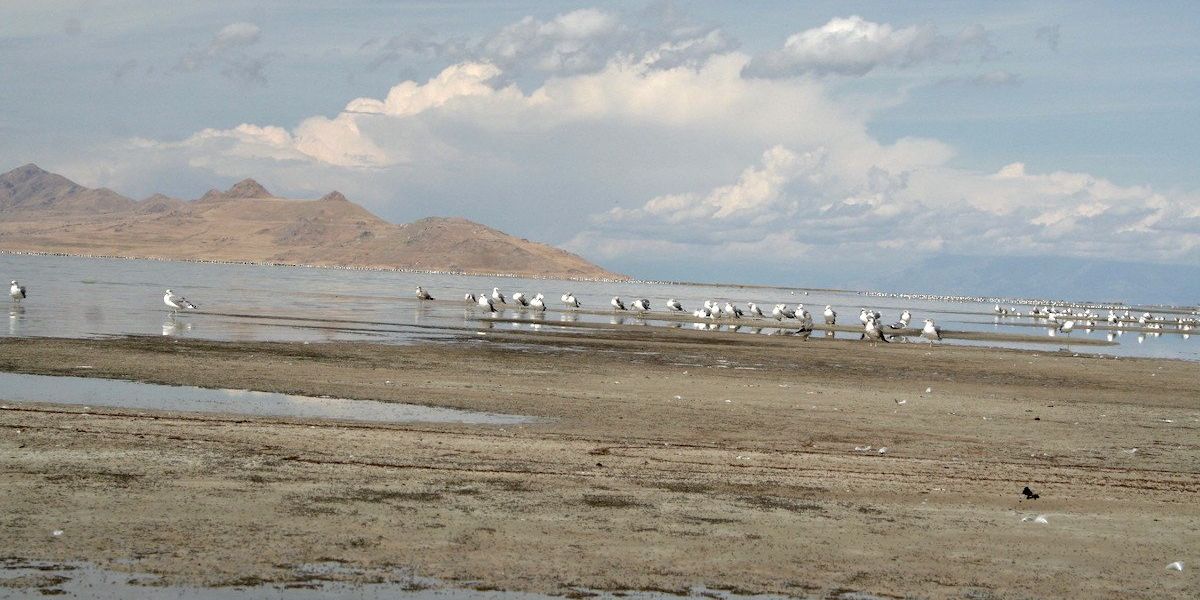 Great Salt Lake