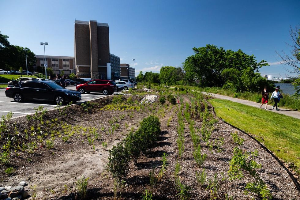 Green infrastructure