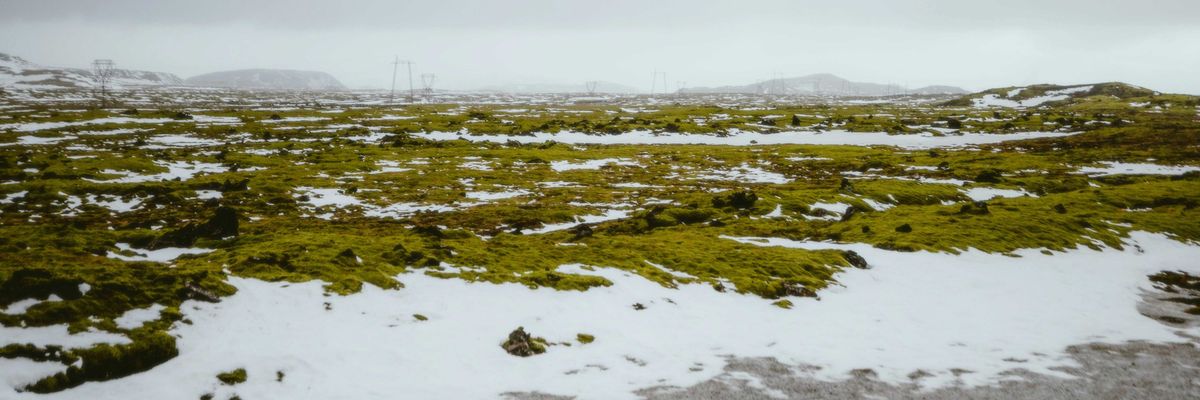 Green moss and snow cover a vast permafrost landscape.